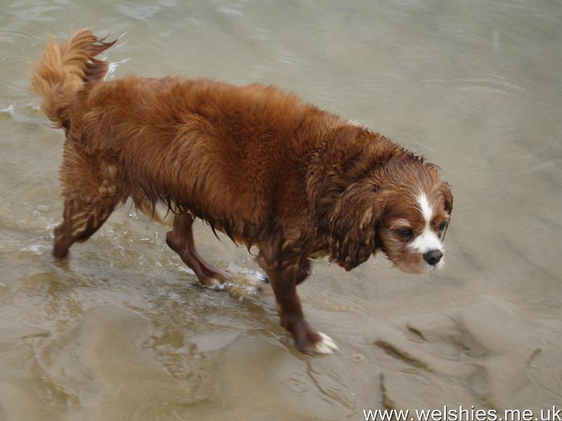 2011-09-09 16.JPG